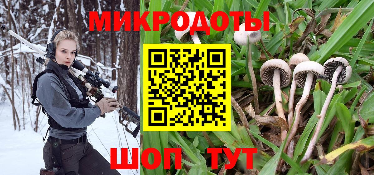 Псилоцибиновые грибы Psilocybine cubensis  Псилоцибиновые грибы ЛСД  купить  сайты  Вход с VPN  Донской 