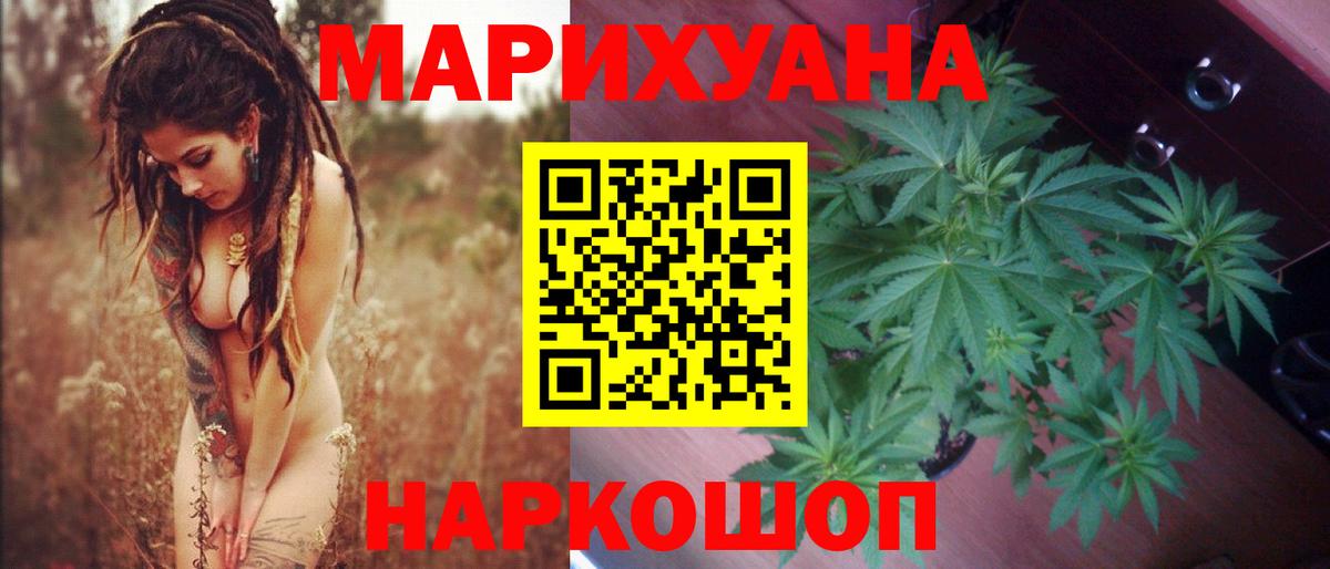 Каннабис гибрид  Конопля AK-47  Бошки марихуана гибрид  Донской  Вход с VPN 